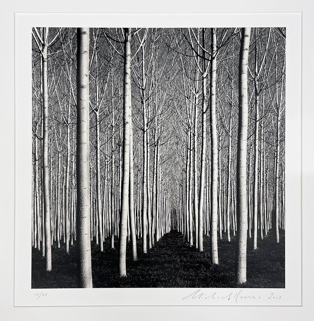 Michael Kenna: Spring Poplar Trees, Pavia, Italy, 2019 Michael Kenna: Spring Poplar Trees, Pavia, Italy, 2019